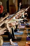 AnusaraYoga.021